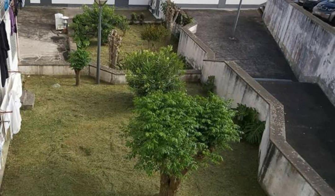 Apartamento Orquidea Ponta Delgada Exterior foto